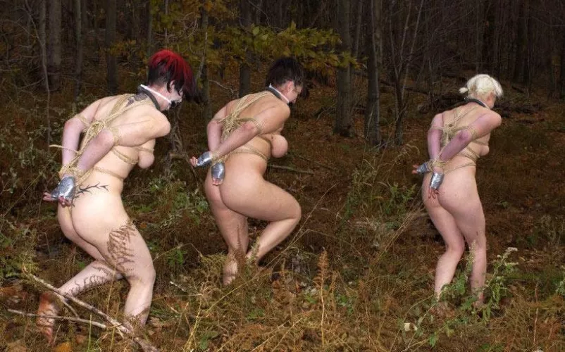 Out in the woods by JustOneAgain