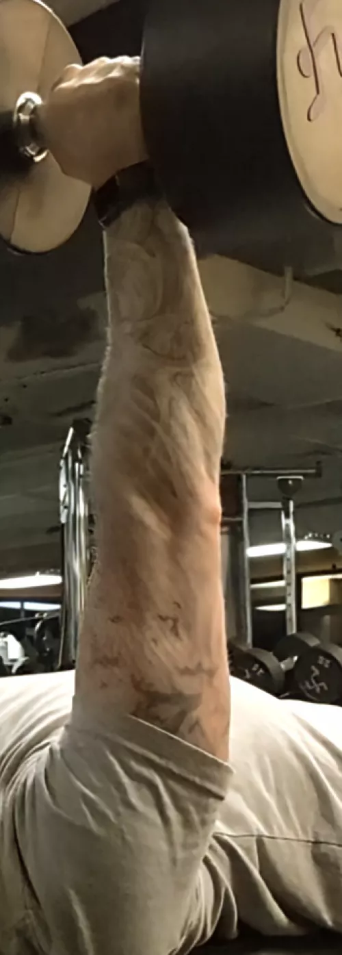 Pushing weight by Jolly-Alfalfa1508