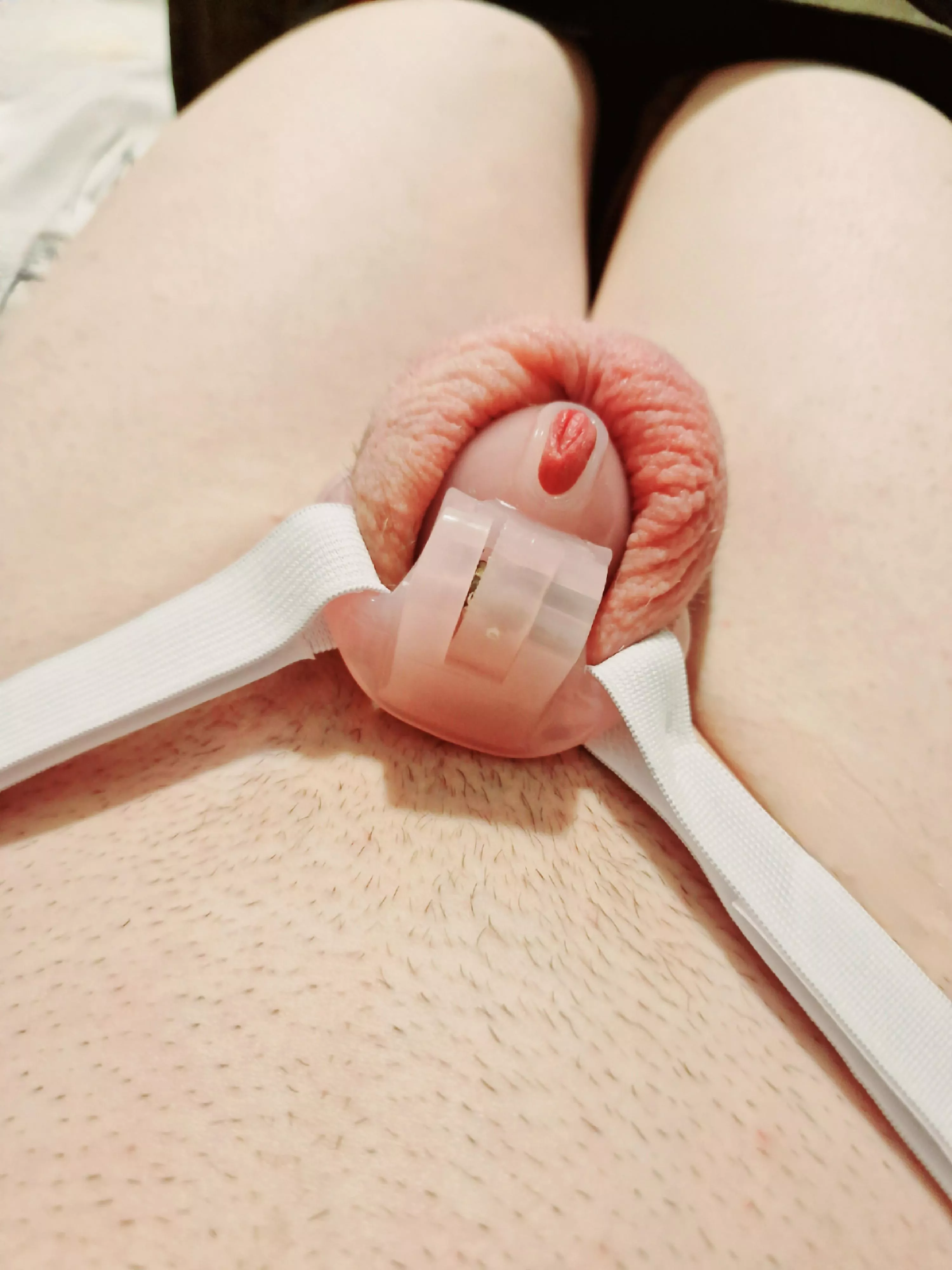 Smaller cage is so much more comfortable and humiliating 🤏🔐 posted by Mrs_Nova