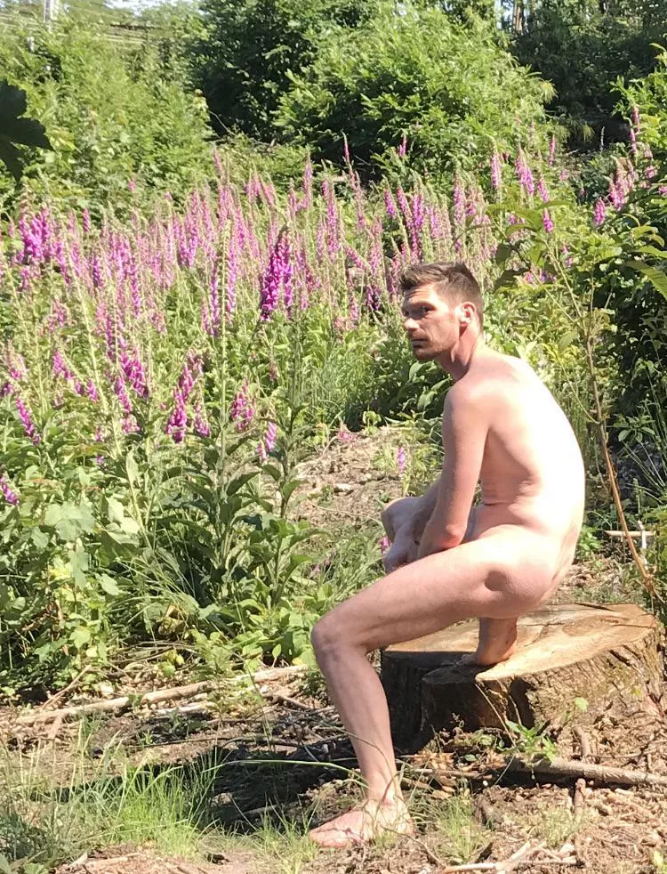 Spring dreams posted by No_Complaint_9674