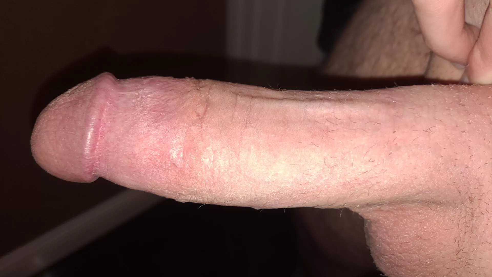 Stfu and stfd bitches~ Dms open posted by Ok-Enthusiasm9139