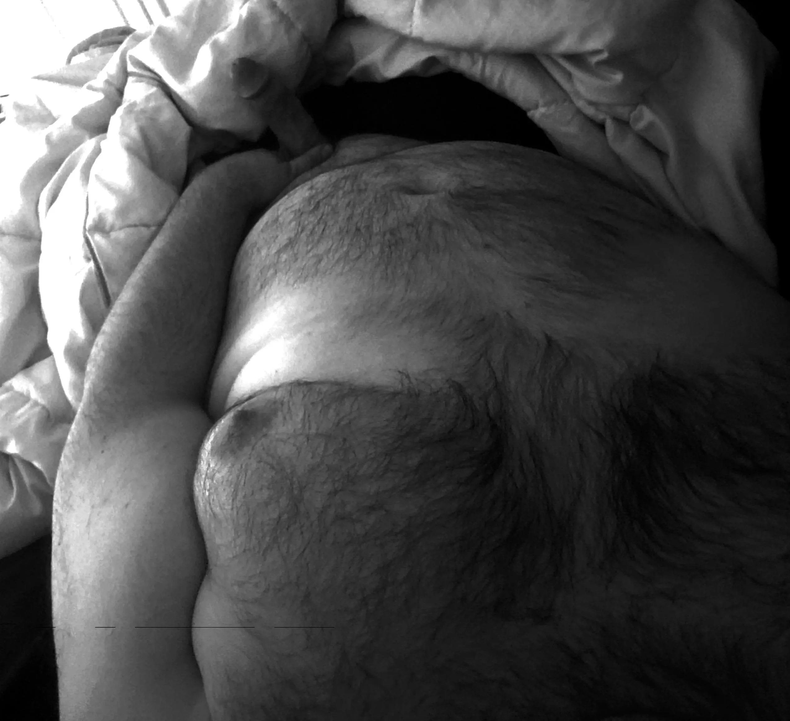 These cold nights are for the birds. Someone come help warm up the bed 😏 posted by VV585