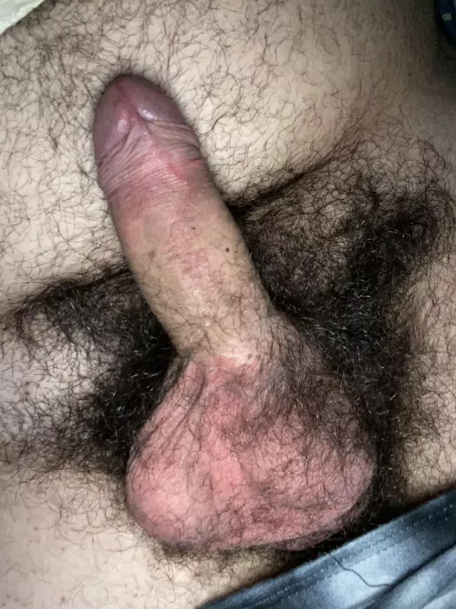 Thoughts on my hairy uncut cock, balls and bush? by Spare_Ride_5512