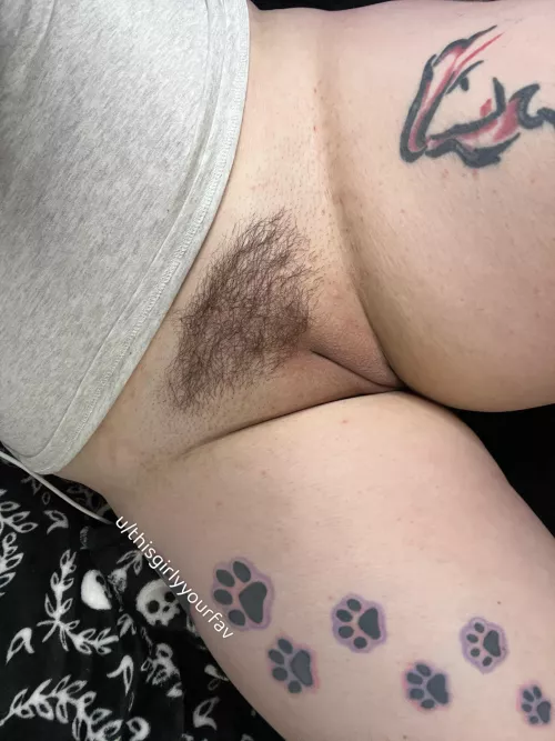 Tidy clean bushy pussy by Thisgirlyyourfav