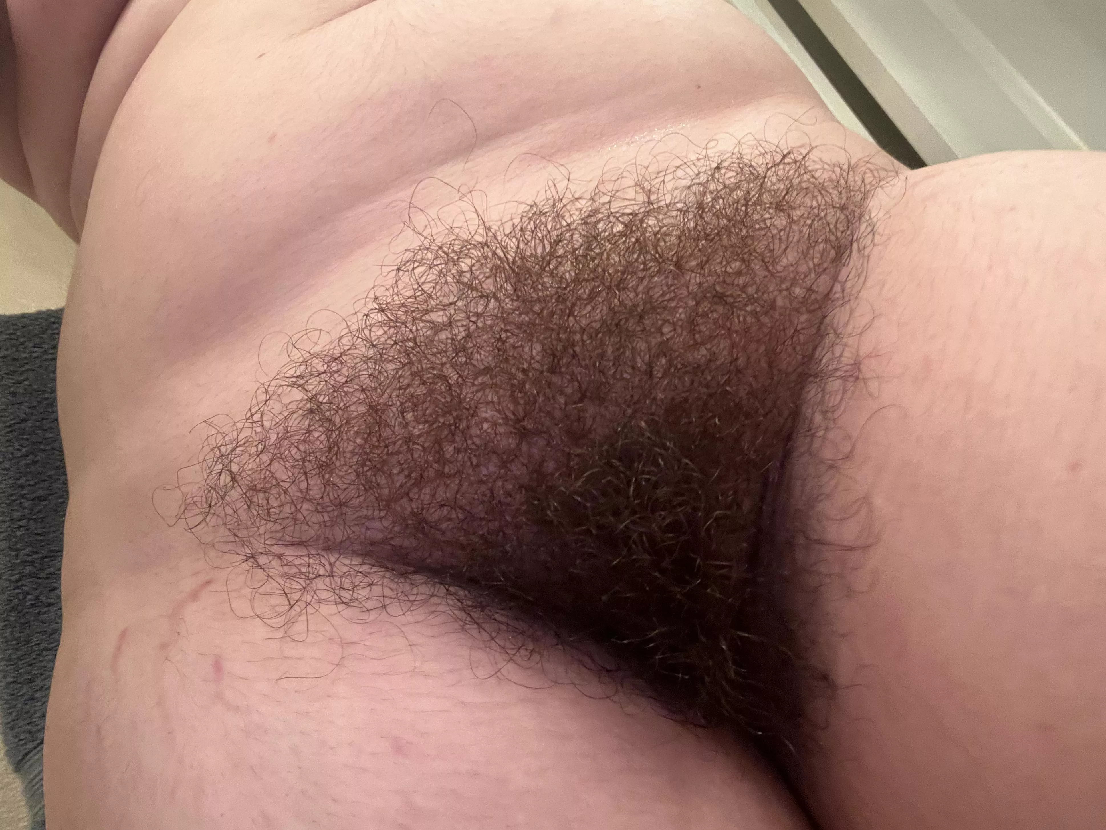 Tongue fuck me till I beg you to stop? posted by baby_sophia20