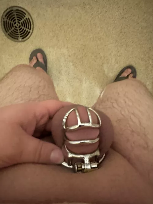 19M, virgin, all locked away by Then-Scientist-891