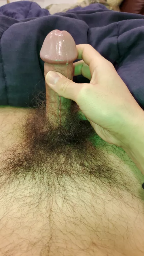 Anyone big enough to dock me? I want someone else's dick to dominate mine by swallowing it by jarixen