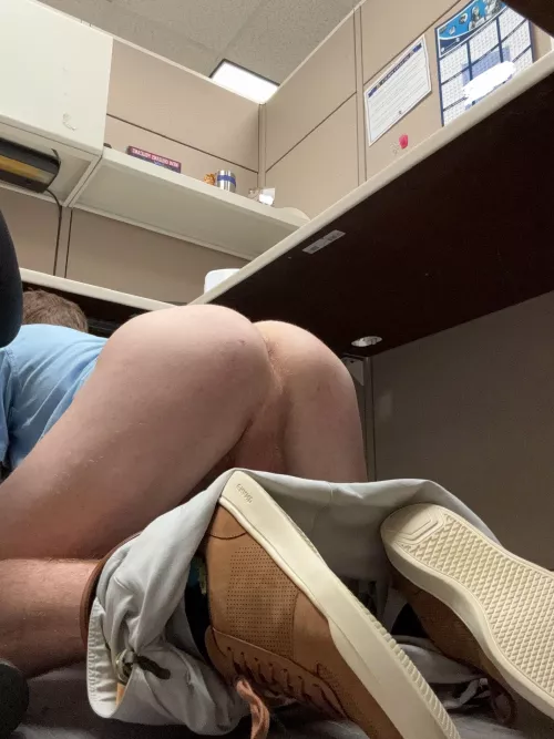 Anyone seen my stapler? by jgatz1249