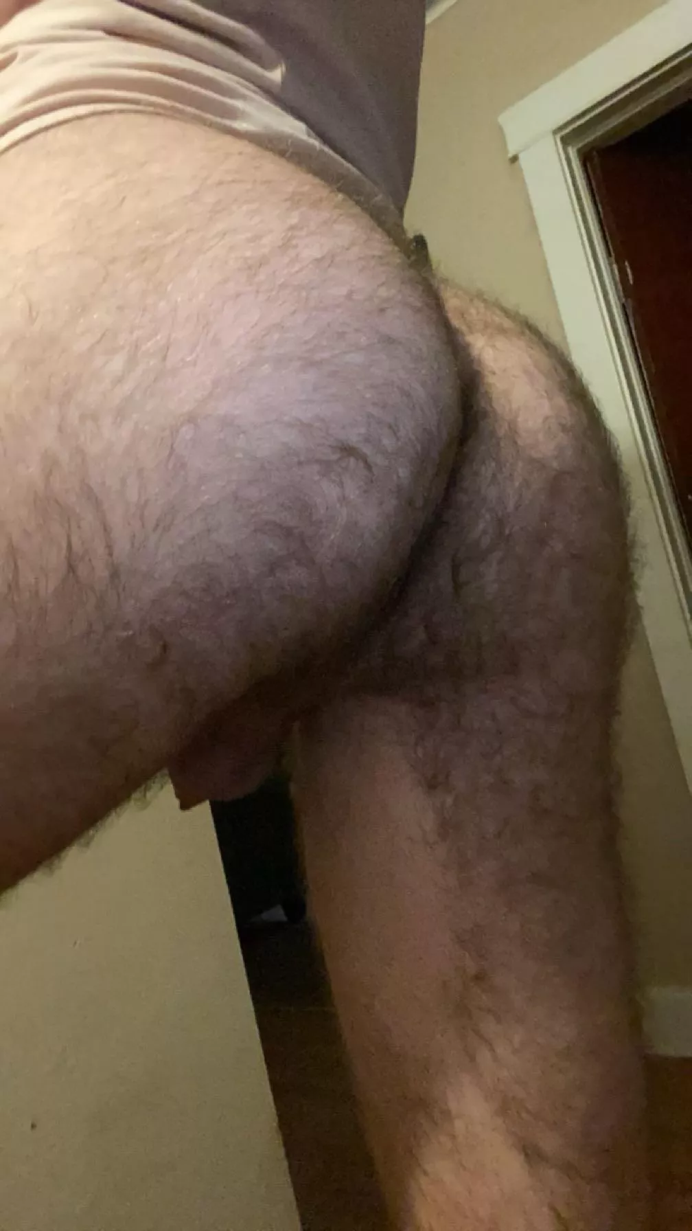 Anyone wanna piece of this? posted by hollowbodies777