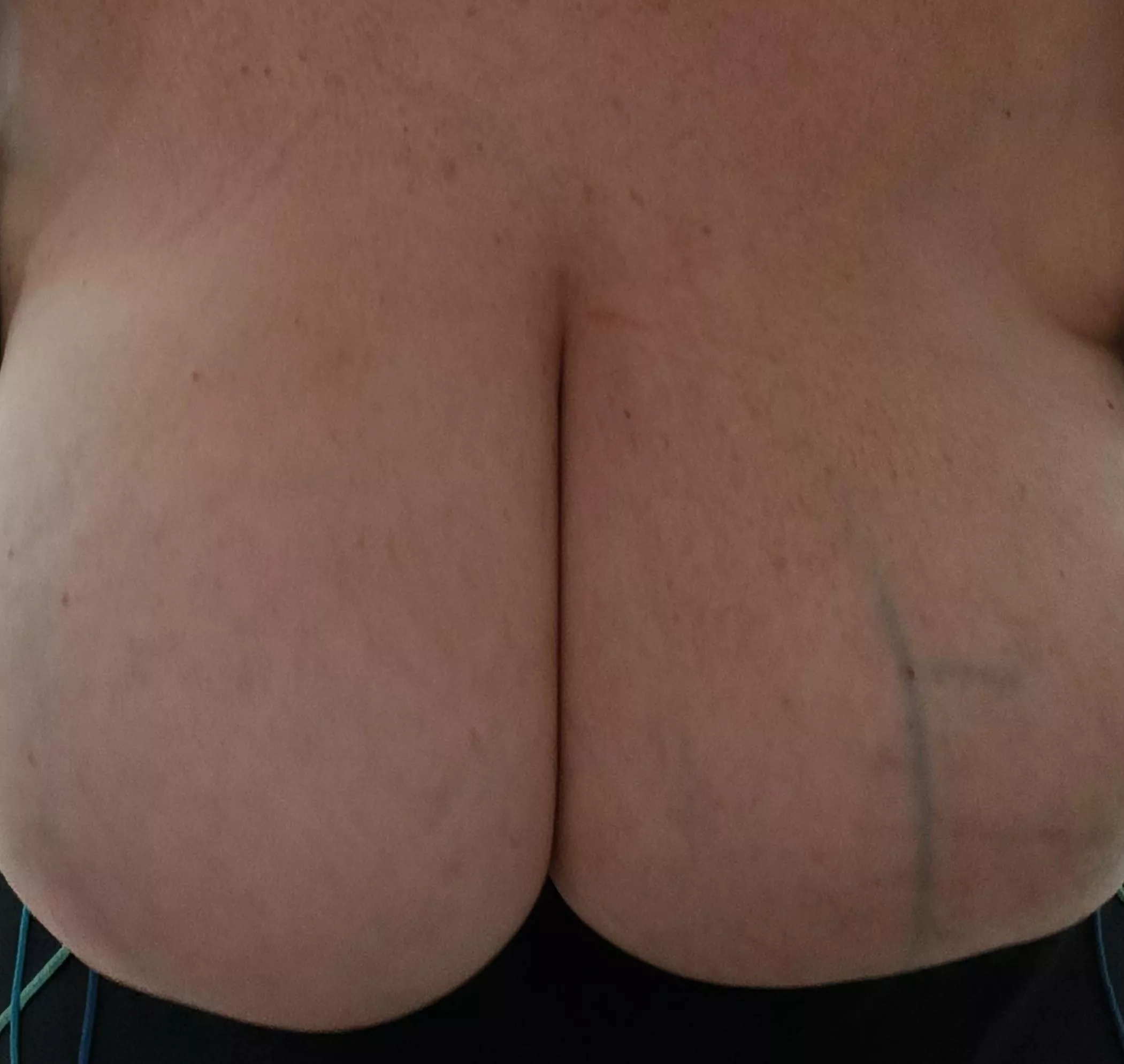 Can you resist the temptation to kiss them posted by FloppyHorseman