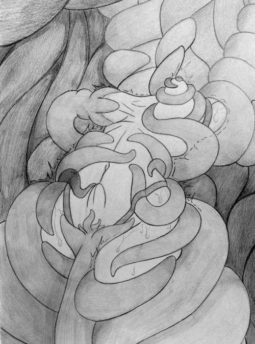 Entangled and used (drawing by me) by squid648