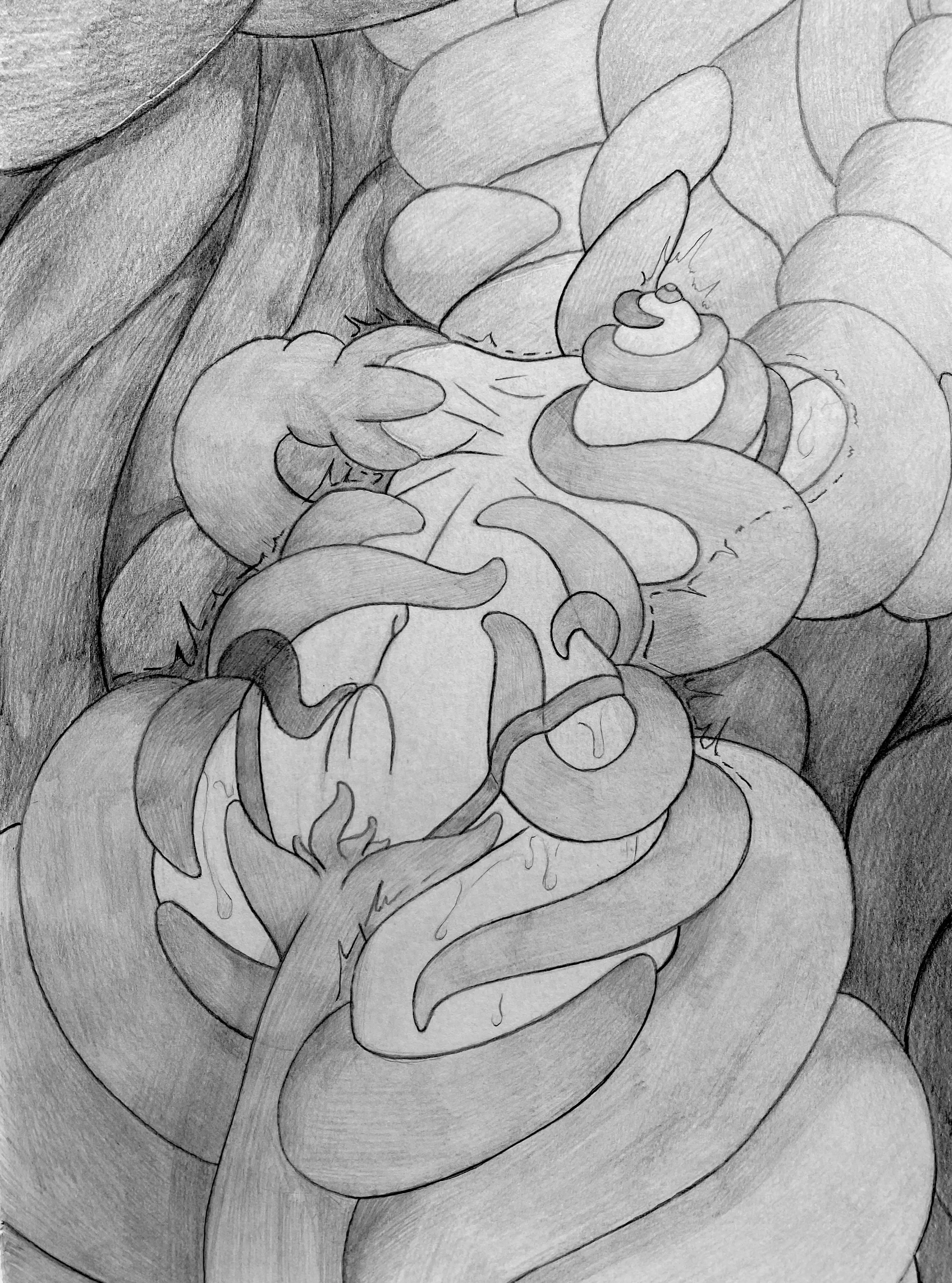 Entangled and used (drawing by me) posted by squid648