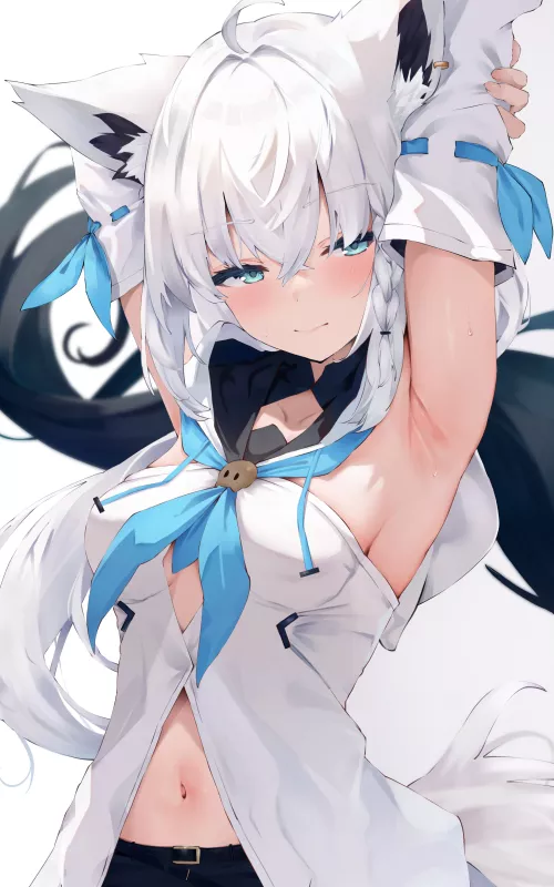 Fubukipits by Fareast_Reus