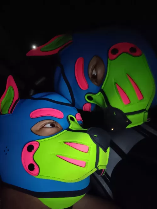 Grrrrrrr! This other dog was staring at me the whole car ride! WRUUUUFF!  by Gabicles69