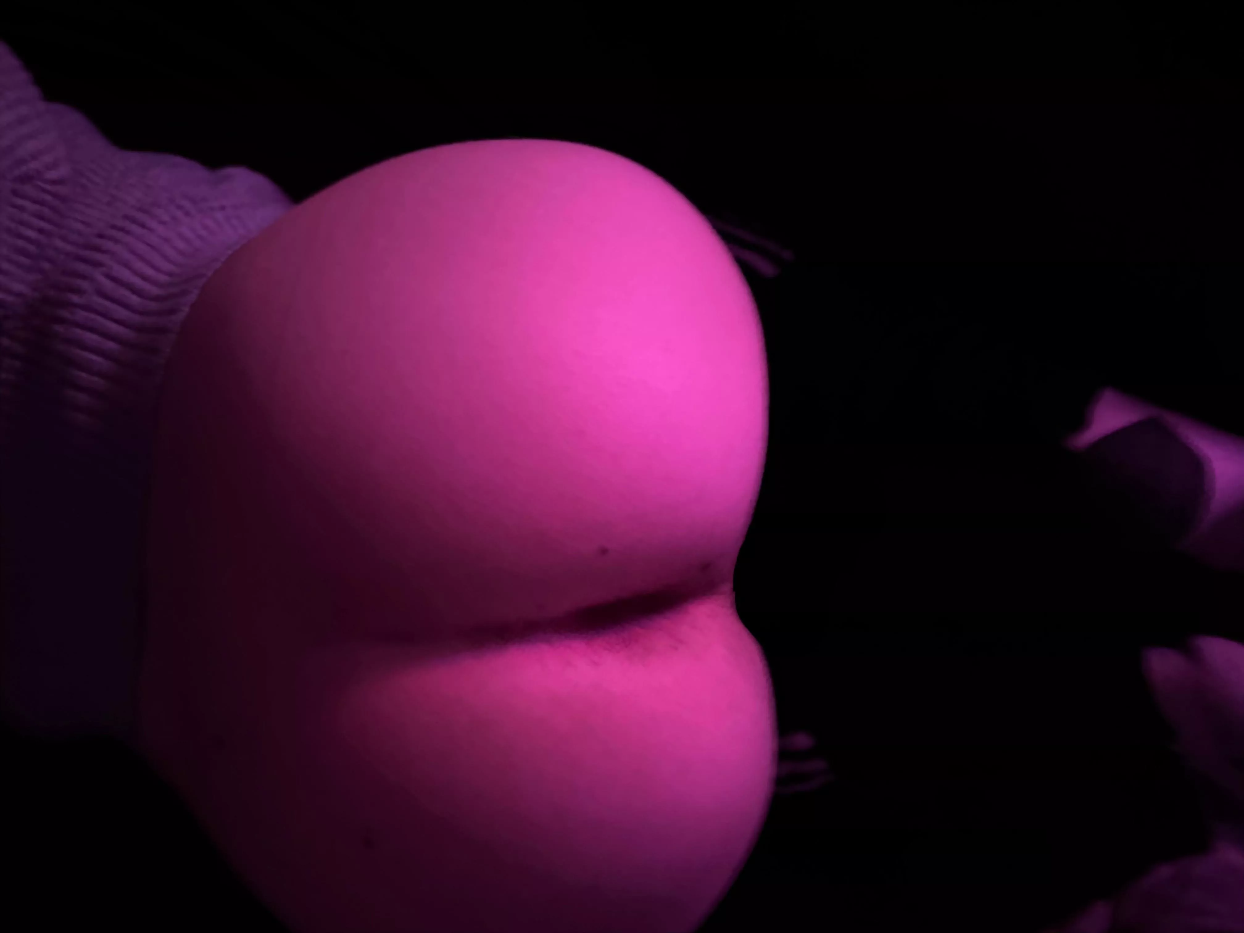 haiii! (say it back or i’ll cry) posted by softboyrose