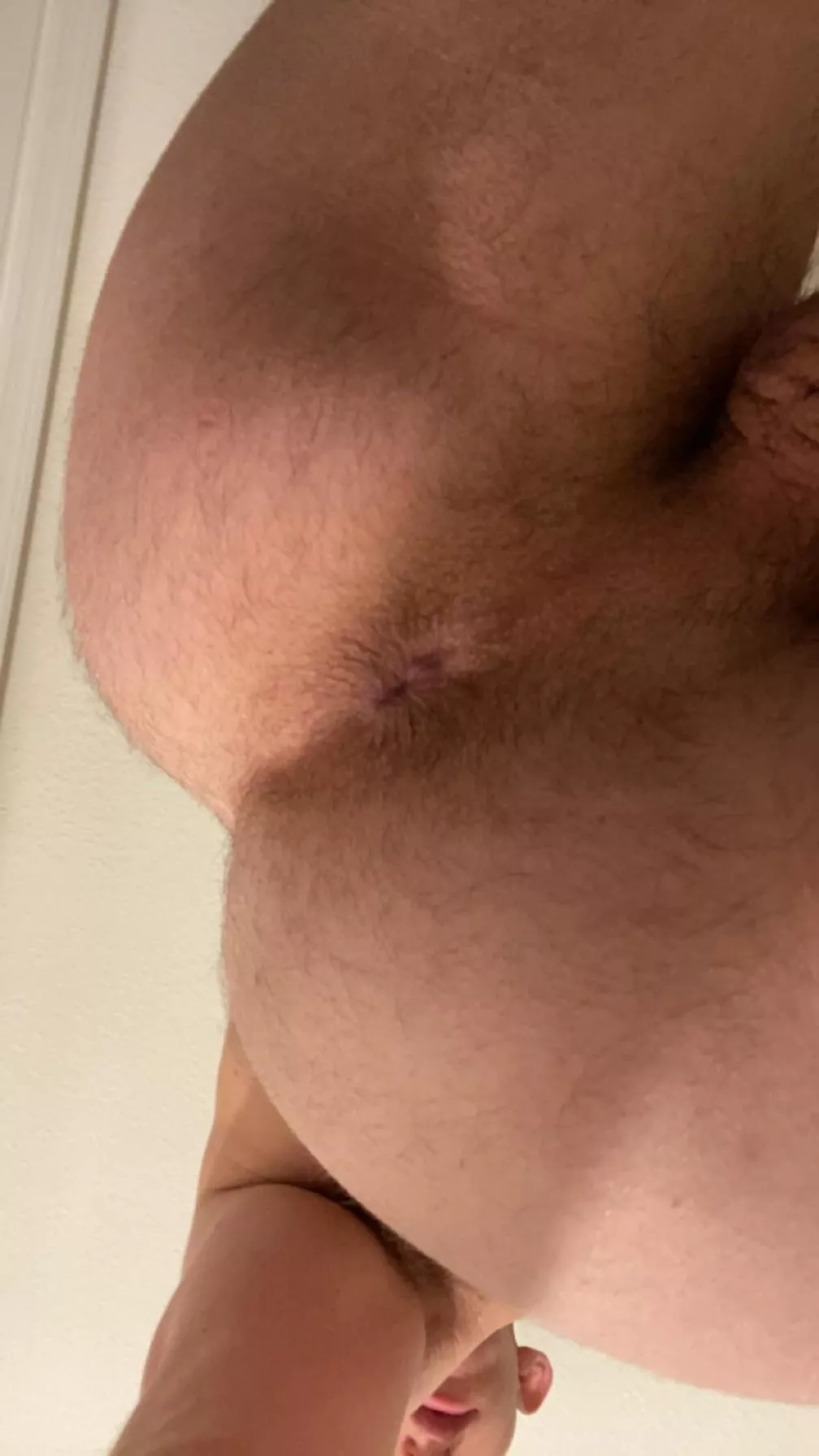 Here’s some furry hole for you posted by adamwestfield