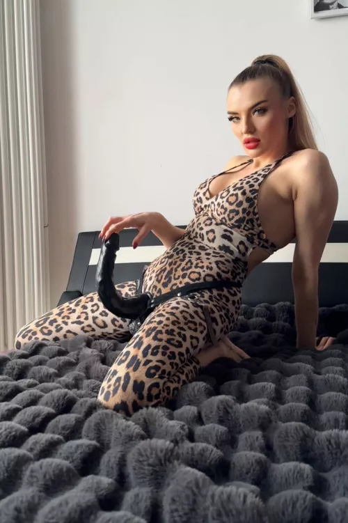 I think you may be in trouble by Accomplished-Dog7086