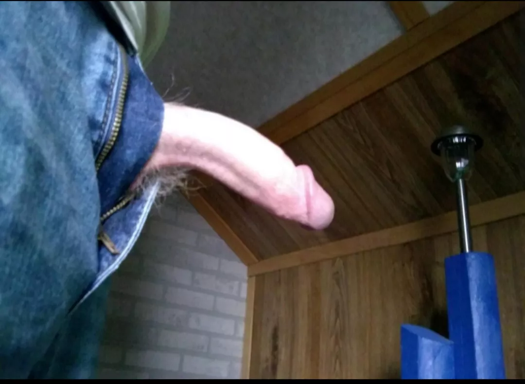 Ideal curve cock? posted by Iam_The_PiGgY