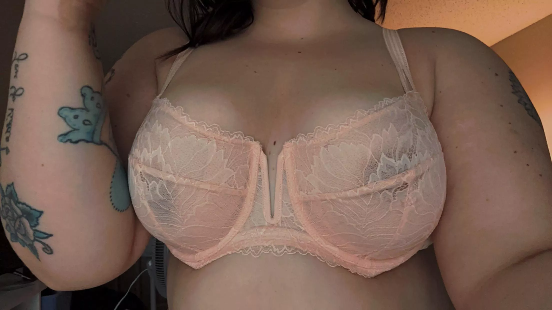 I’m obsessed with this  posted by Ok-Sherbet94