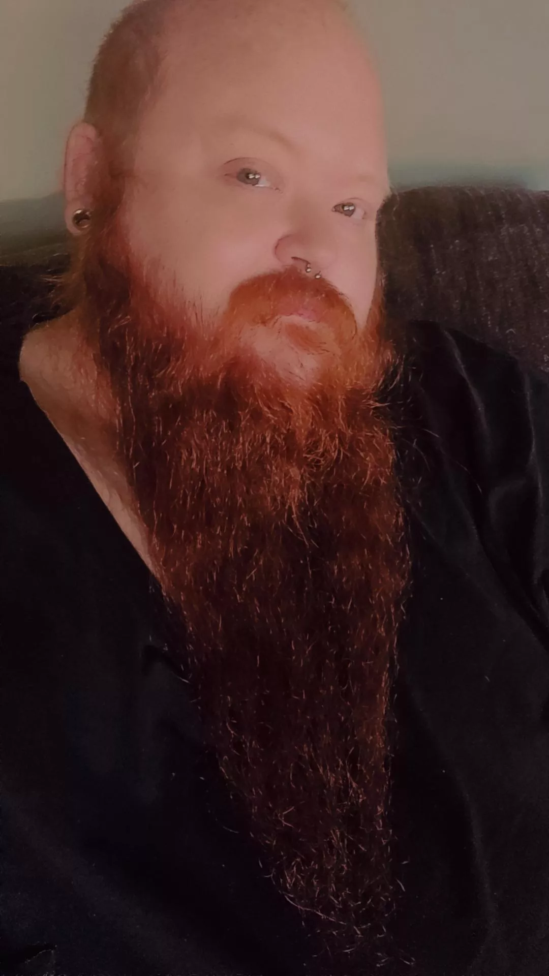 Just wanted to show off my gingerlicious beard  posted by Wolvenking9