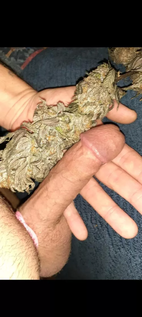 (M) HIGH;-) by ilikebnnaked