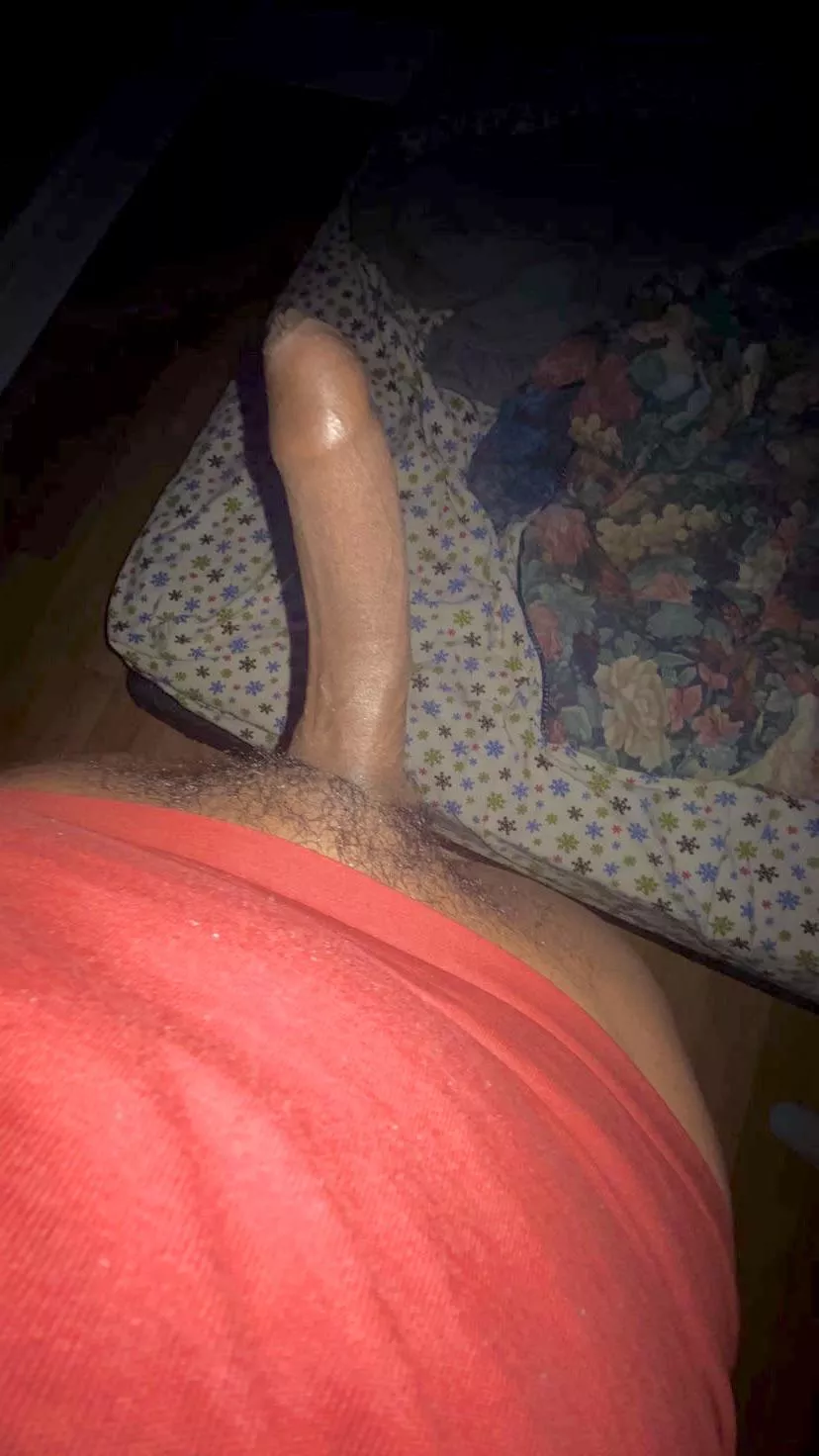 Morning Log posted by TriniThrowaway_