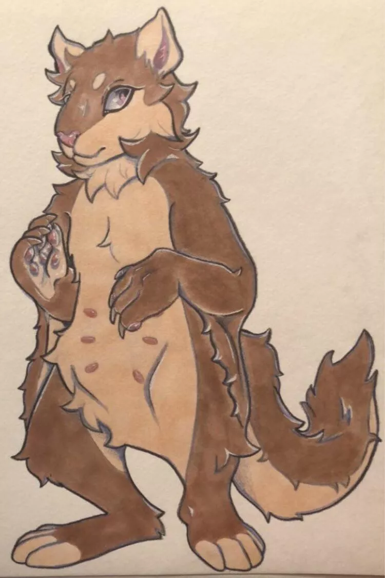 name suggestions for this flying squirrel? posted by Celestial-Bread333