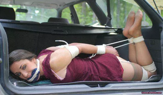 ready to roll posted by Mundane-Employer-719