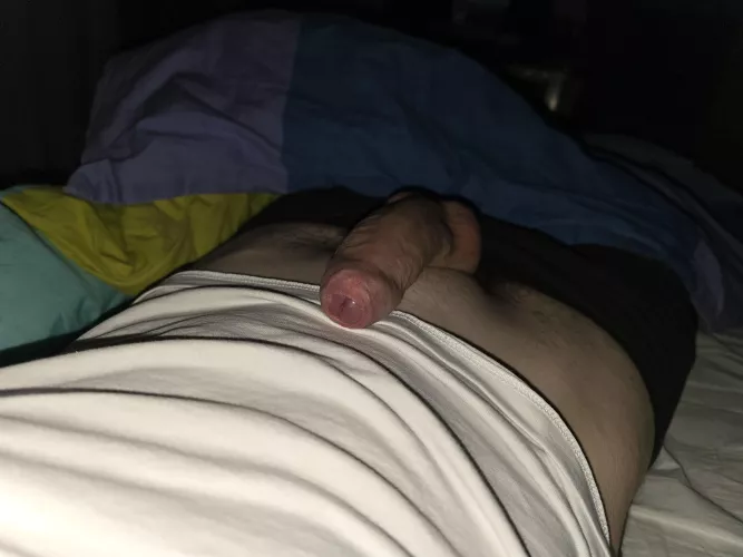 Resting for the night (20) by nkoo03