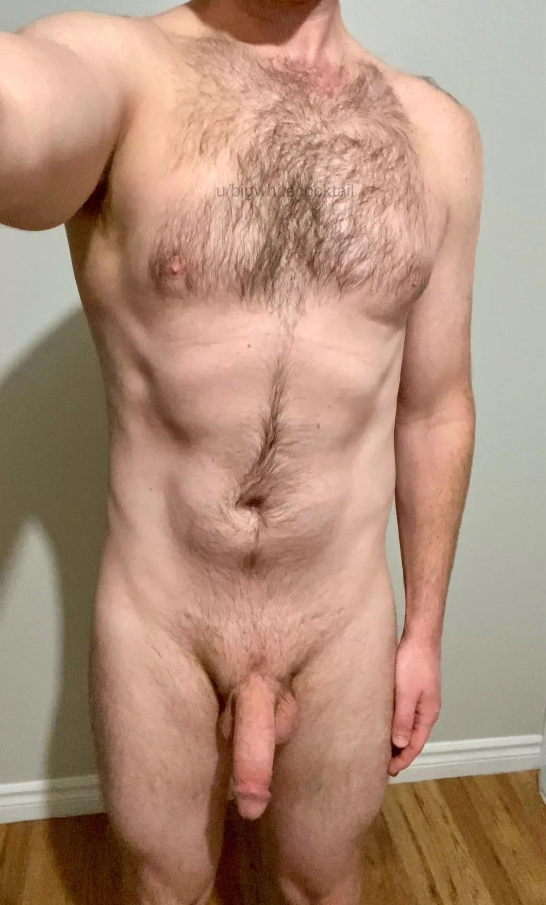 Rise and shine  posted by bigwhitecocktail