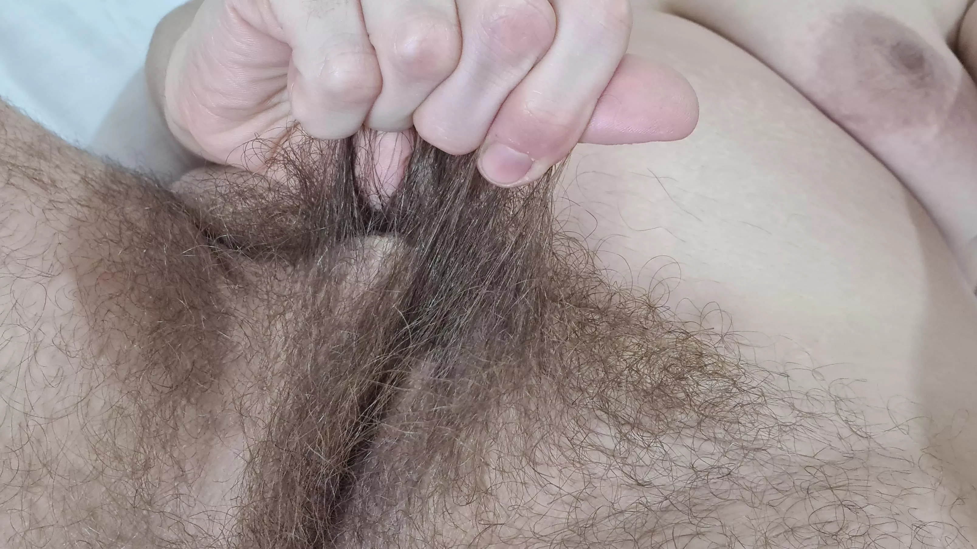 Seriously big bush posted by lovelylonghaired