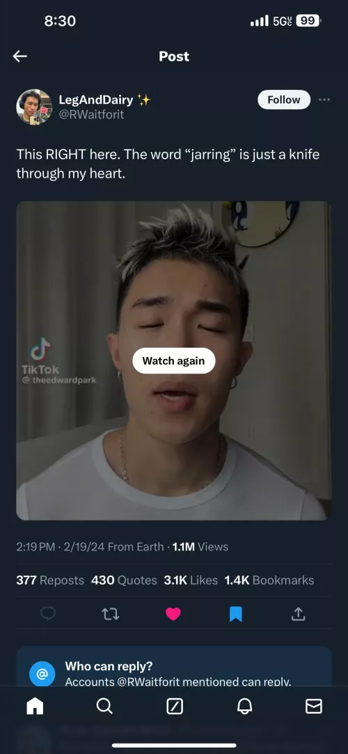 Silencing Asian Voices by jkc2396