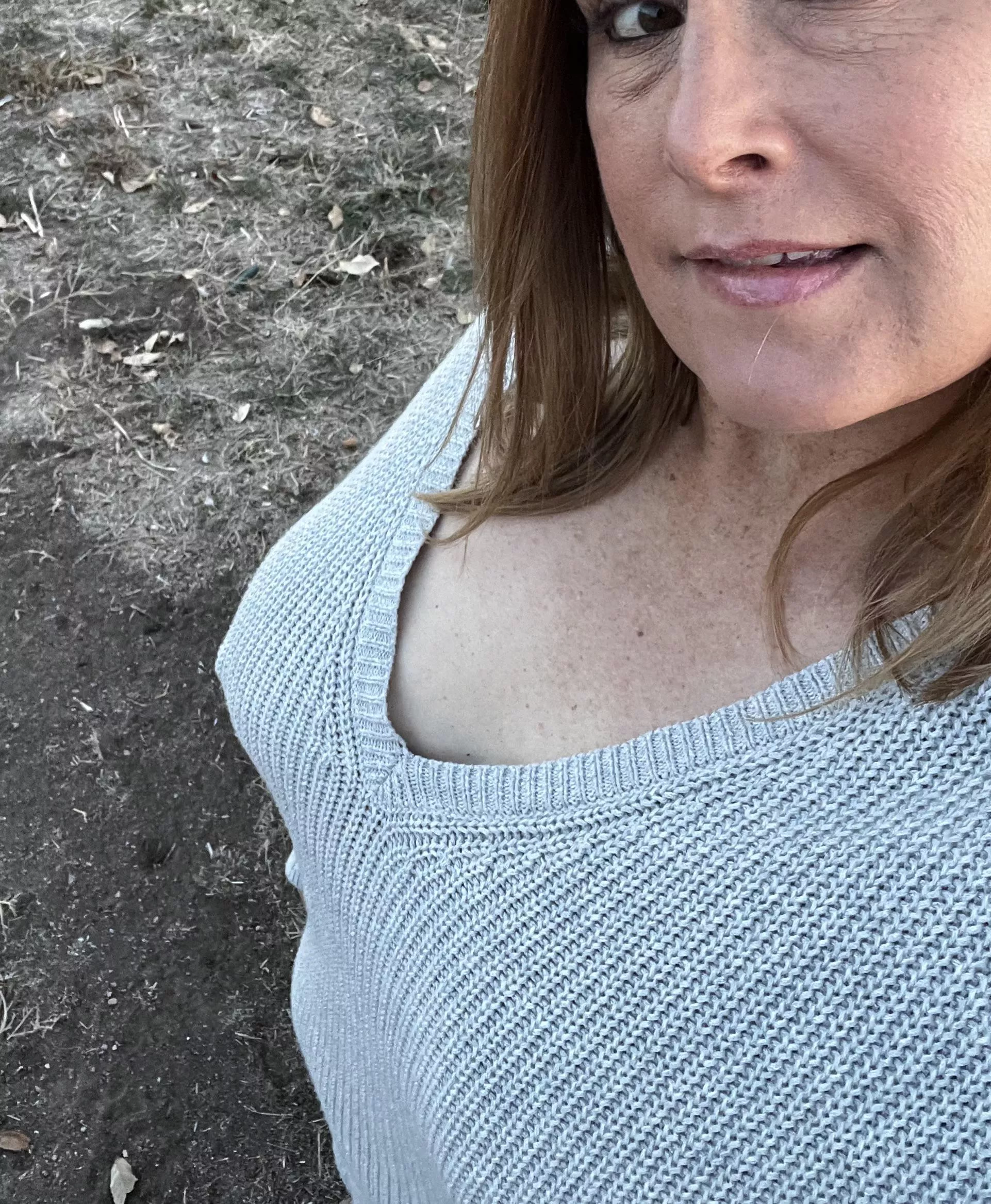 Sweater kittens are cute too… posted by Lady-Willow