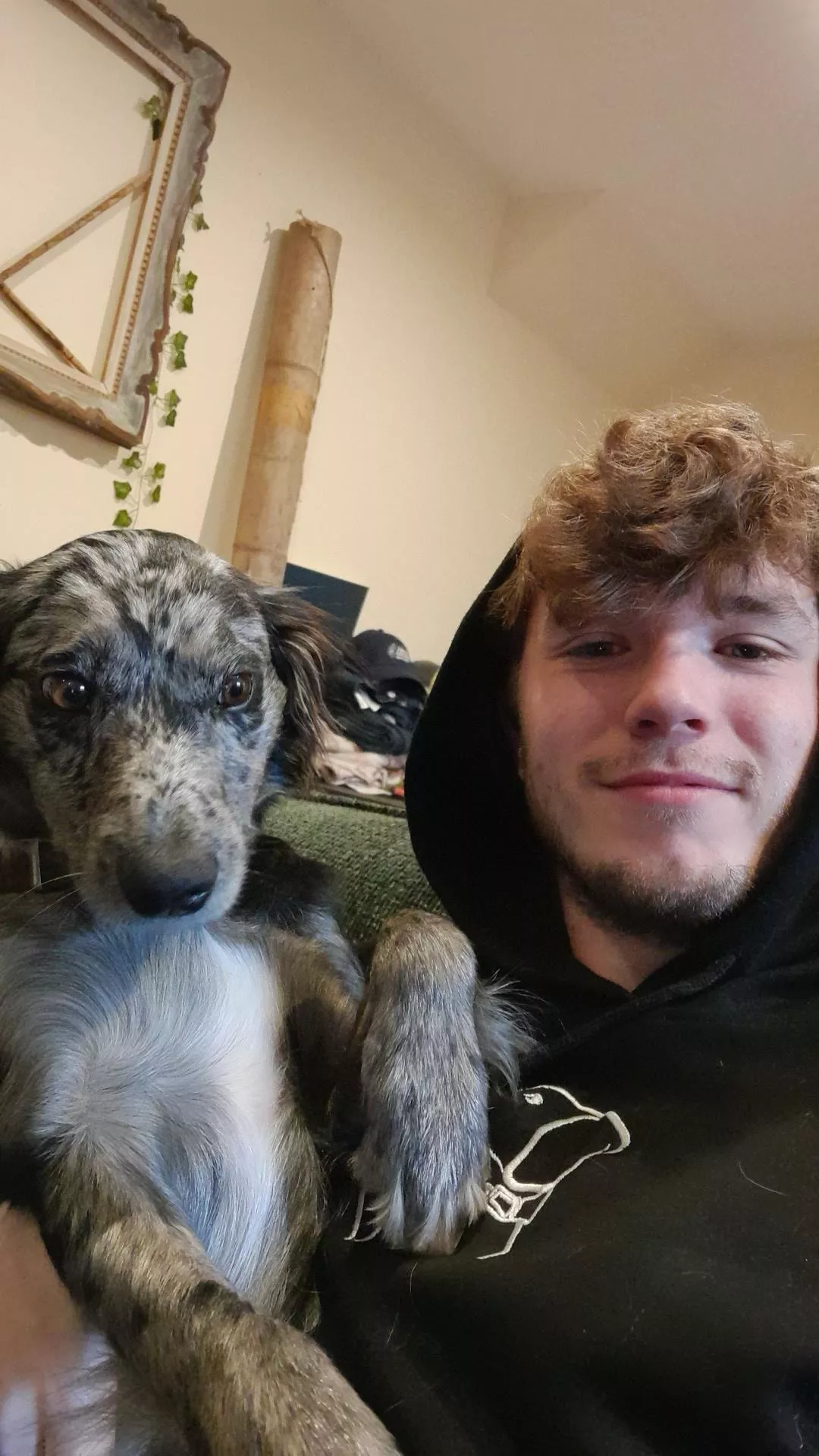 Today's plan: puppy cuddles  posted by BrbMakingACuppaT