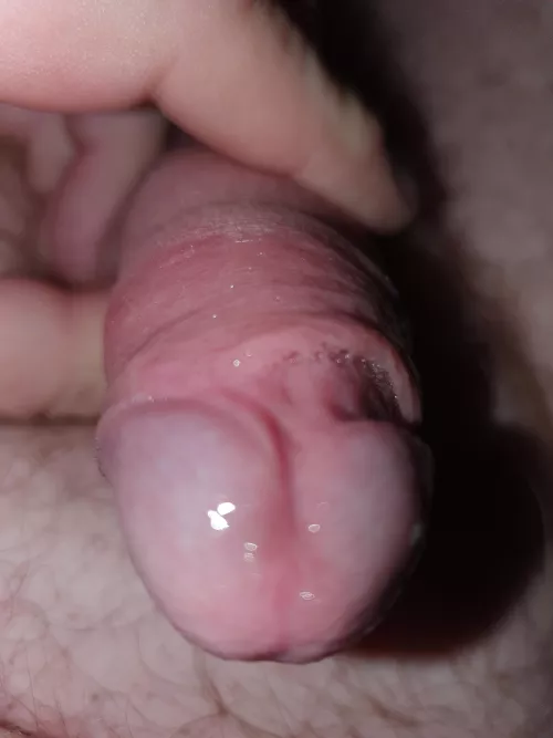 Waiting for clean  by Micky310