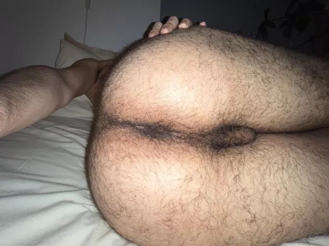 21. Play with my furry ass? by Hairyhorny_boy21