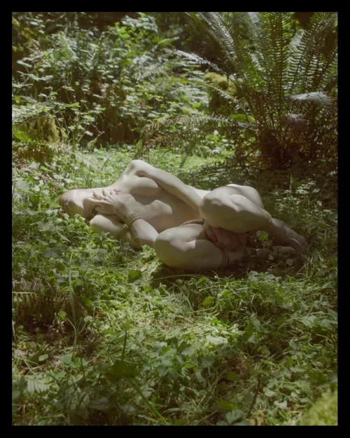 all tied up among the ferns… by quill_la_petite