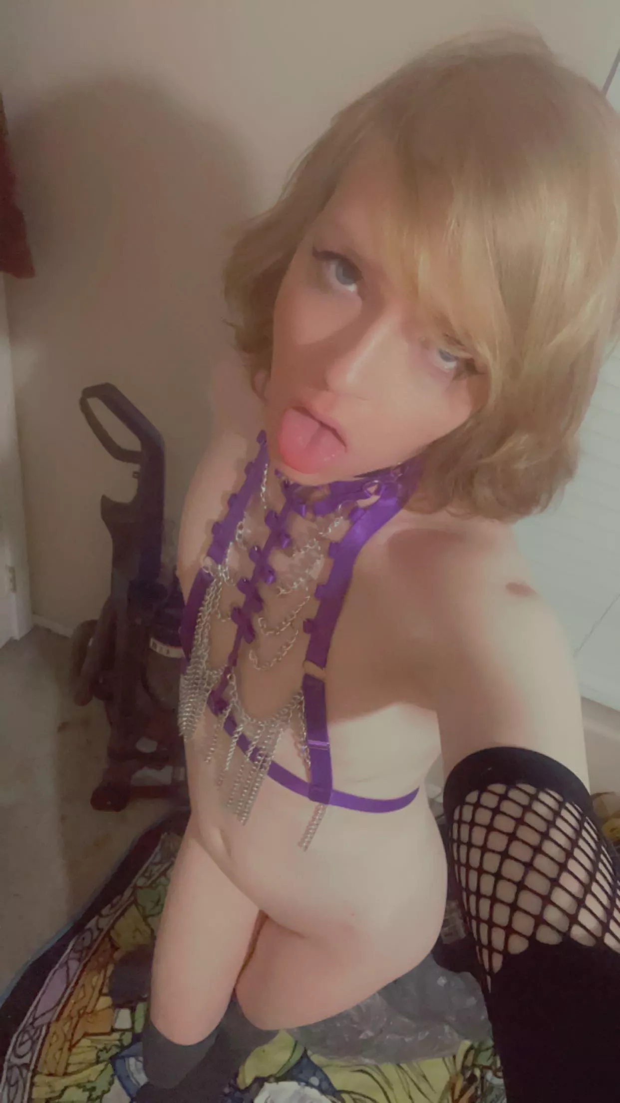 Am I cute n breedable? 🥺💕 posted by AstonishingCobb