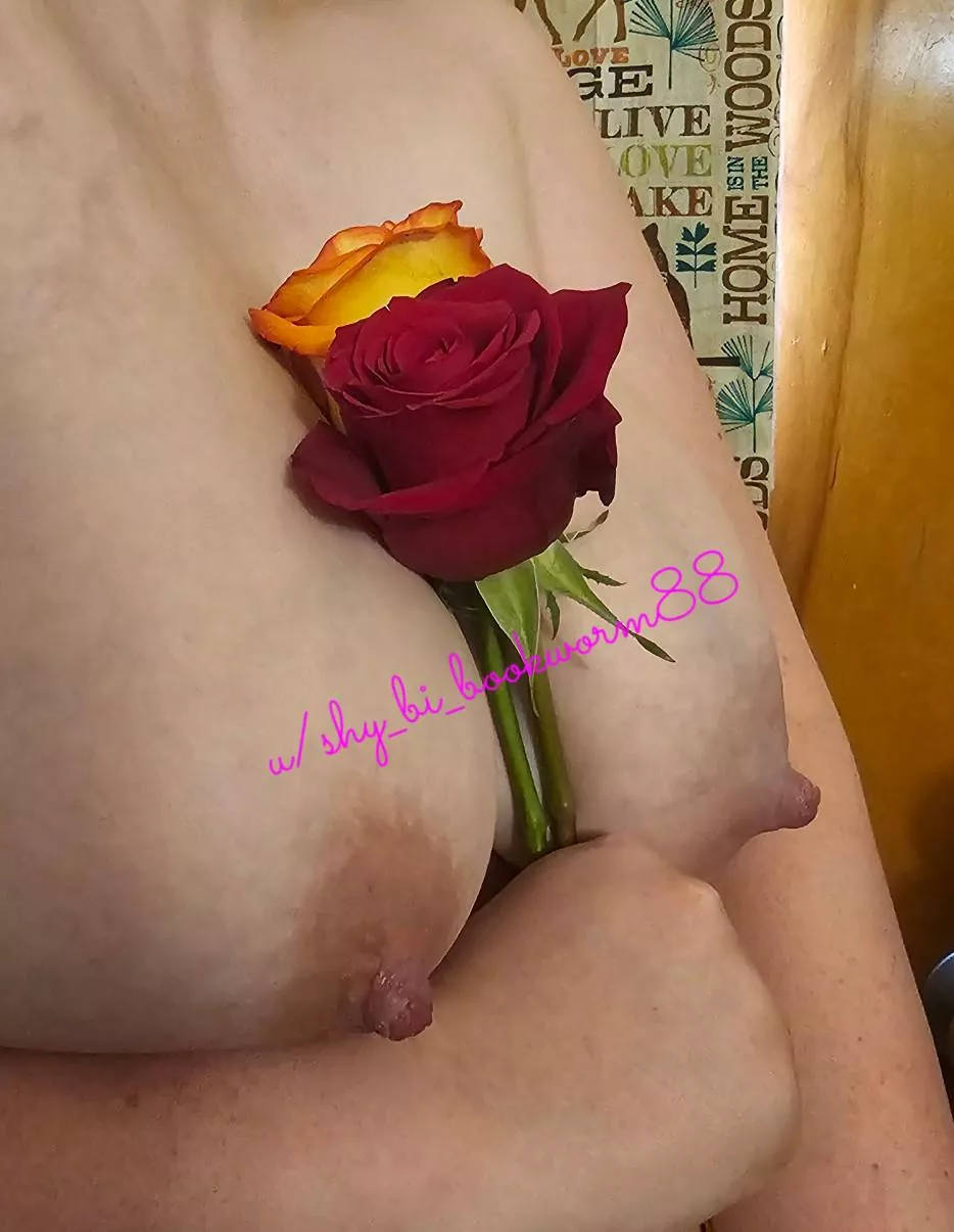 Birthday roses posted by Shy_bi_bookworm88