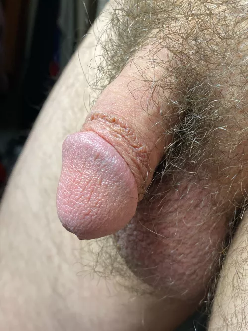 Bush by Comotion9823