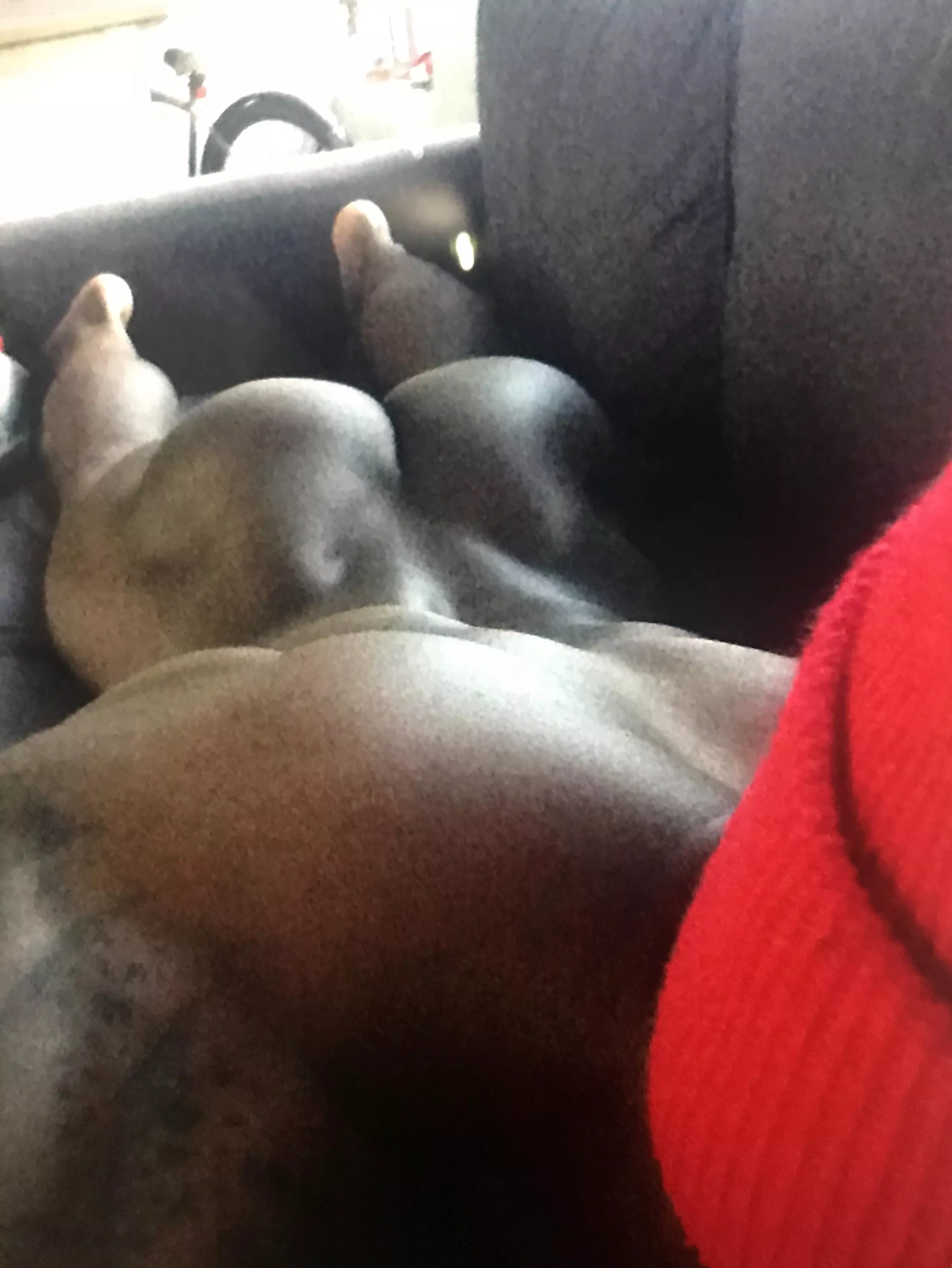 Double Cheeked-Up  posted by Fet_Lives_Matter