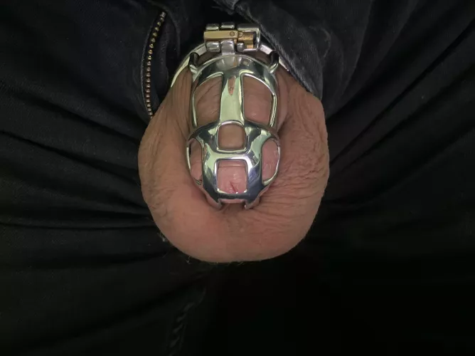 From the 14th of February to the 8th of March by Tiny-Upstairs1656