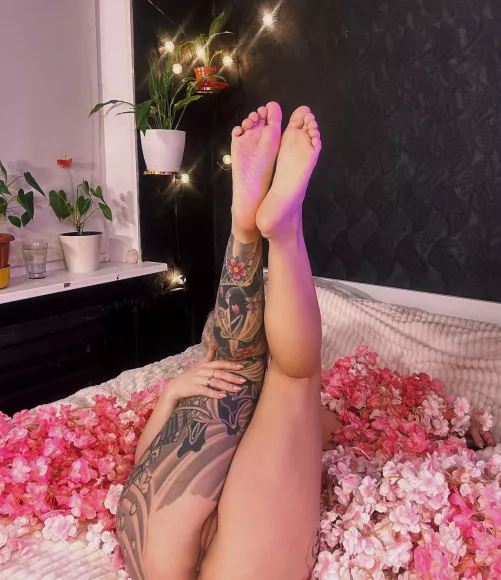 How about we watch some Adult Swim and fuck by Uncosenya