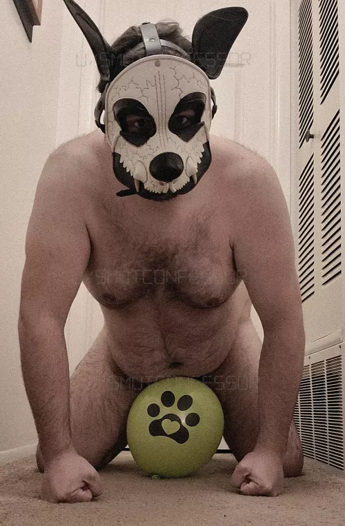 I hope you have a pawesome day! by SmutConfessor