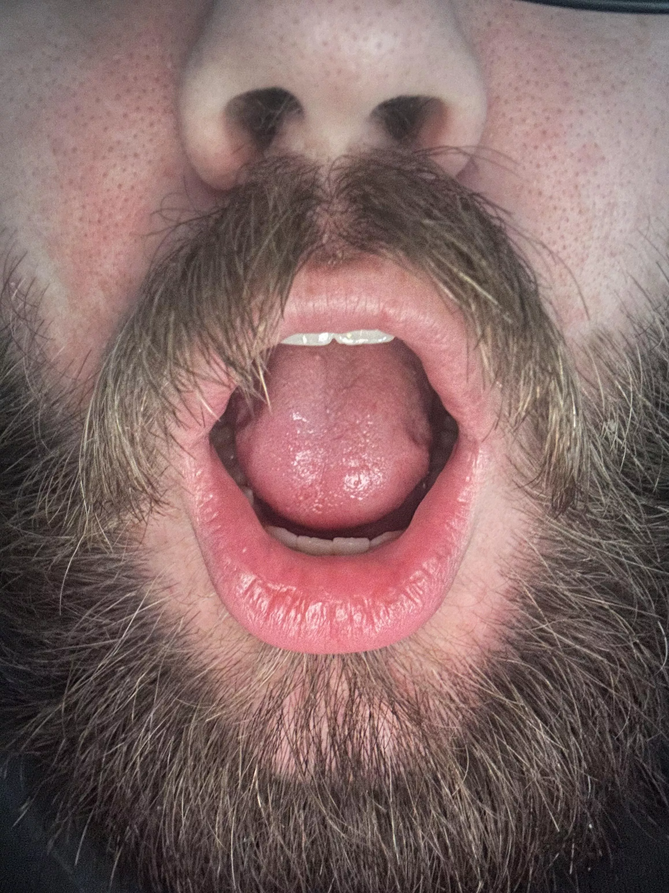 Imma need one of you big beefy bears / chubs to come shove your cock deep in this virgin mouth. Or maybe shove my nose in your sweaty beefy ass and make me sniff it for a while. ;) posted by IAmVocalWarrior24