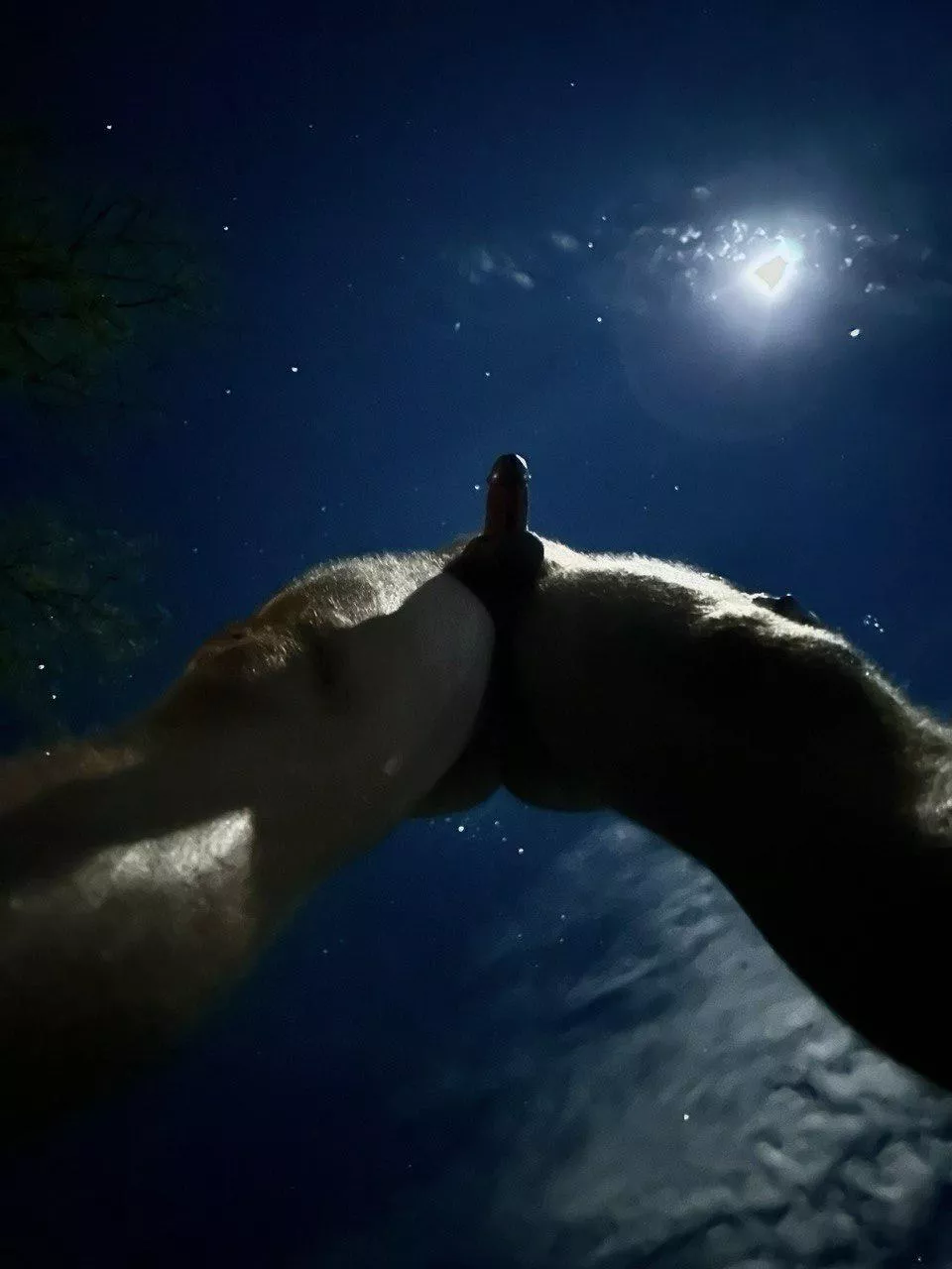 Life, the Universe and Everything posted by mufasjg