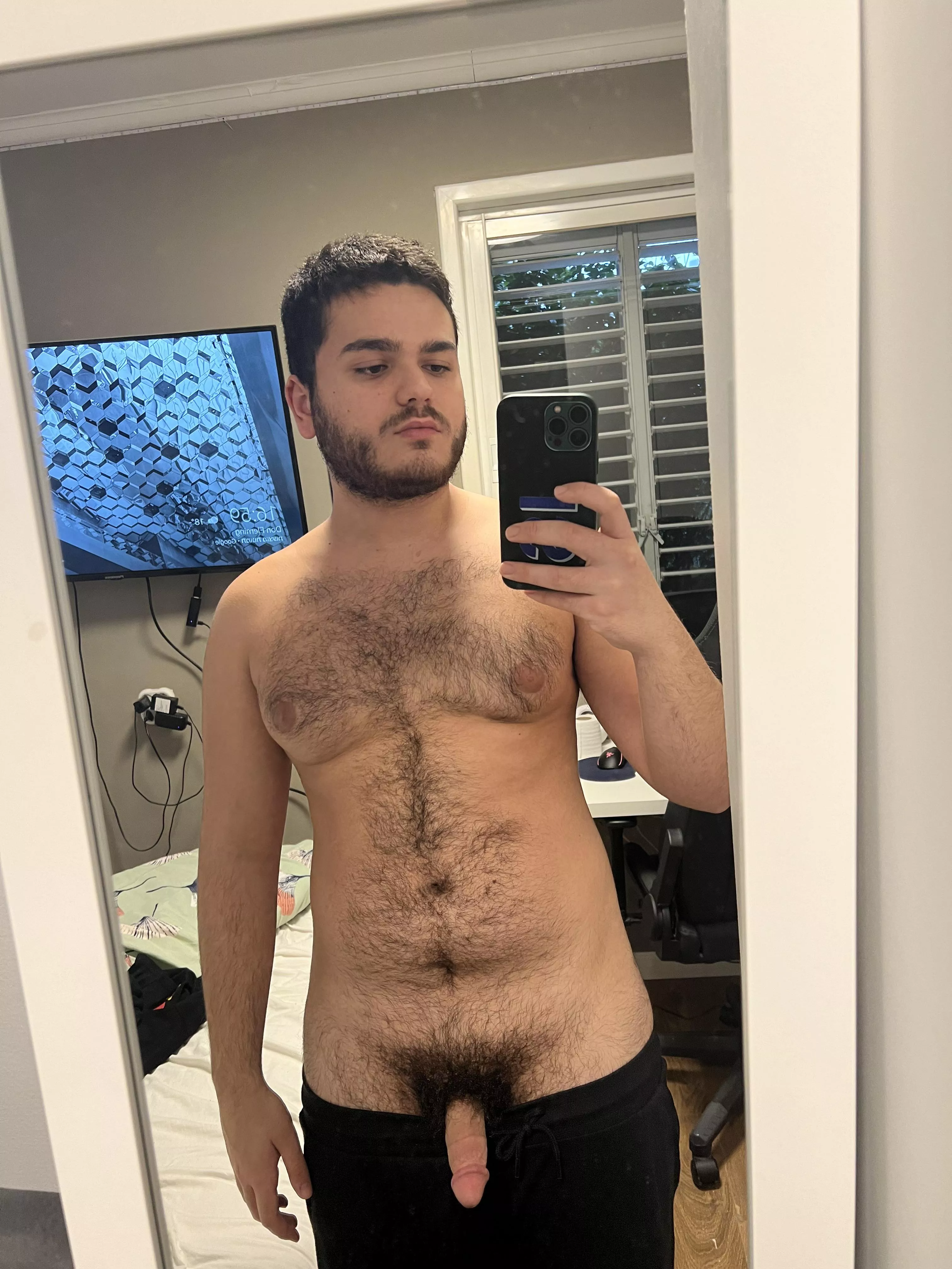 my bush posted by Former_Judge6015