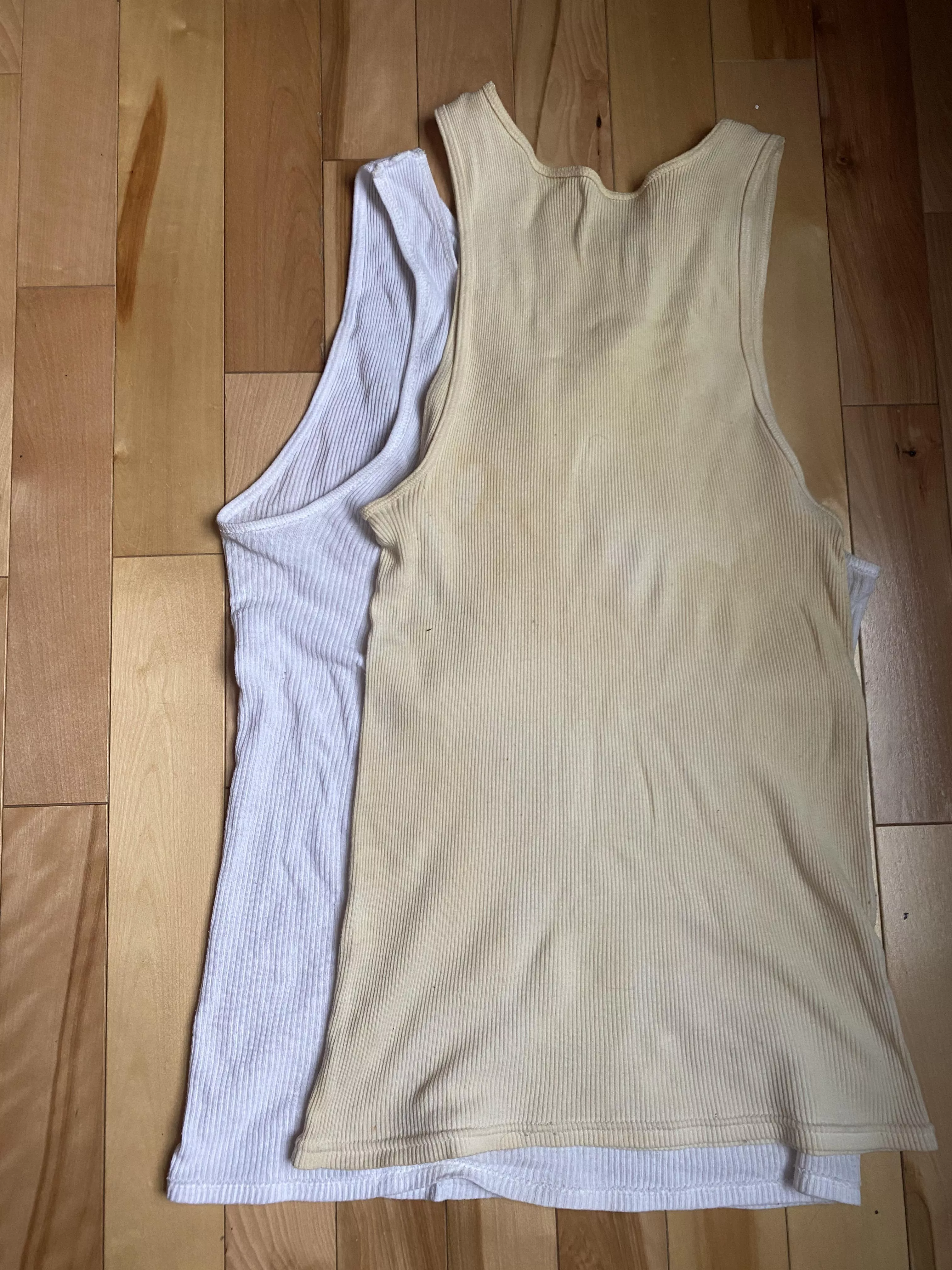 My piss rag update posted by Disastrous_Budget565