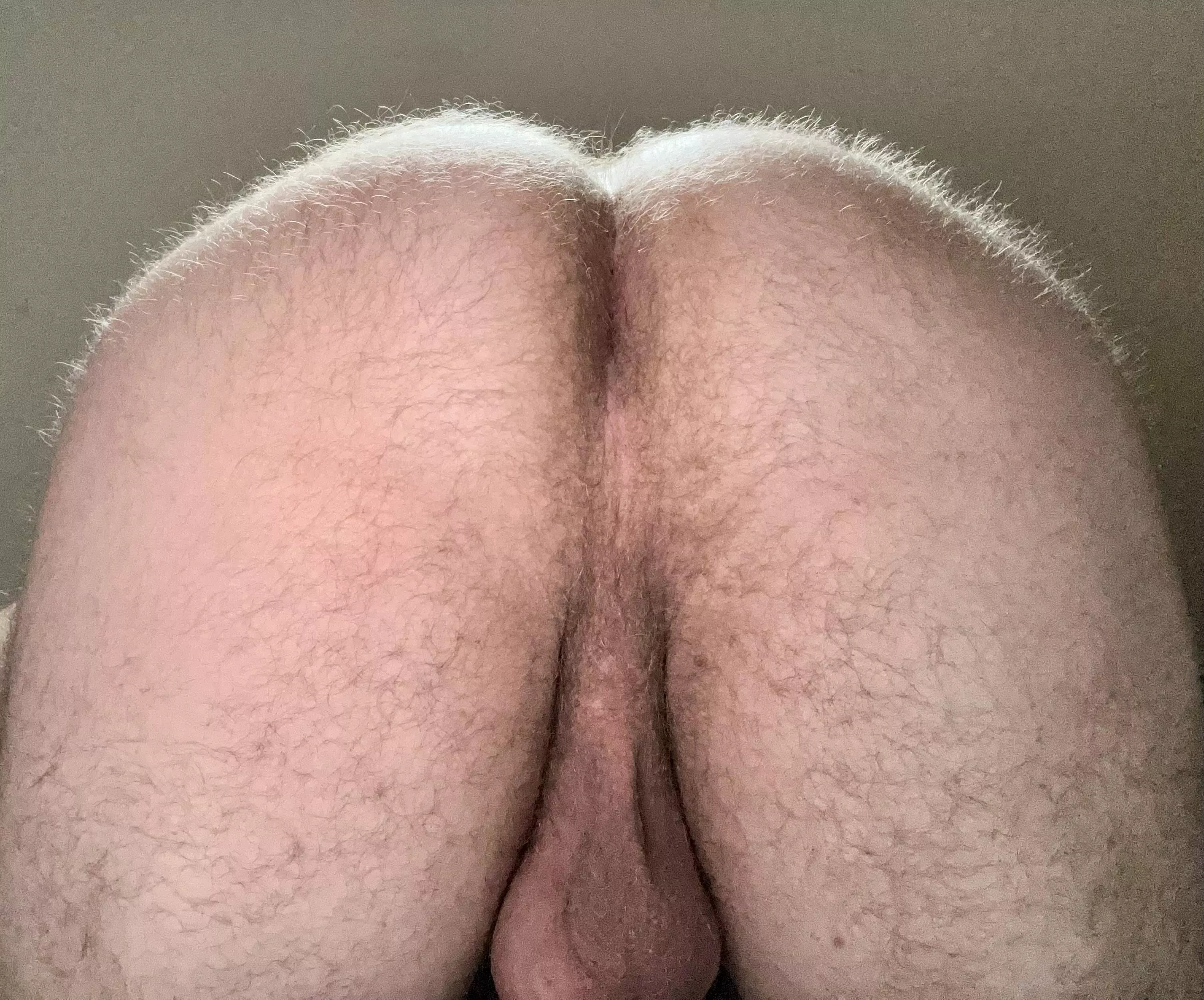 Straight ass ready to be pounded posted by curiousbird1234