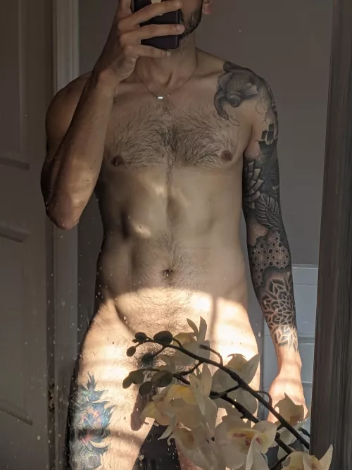 This one is for chest hair lovers by tardigranade